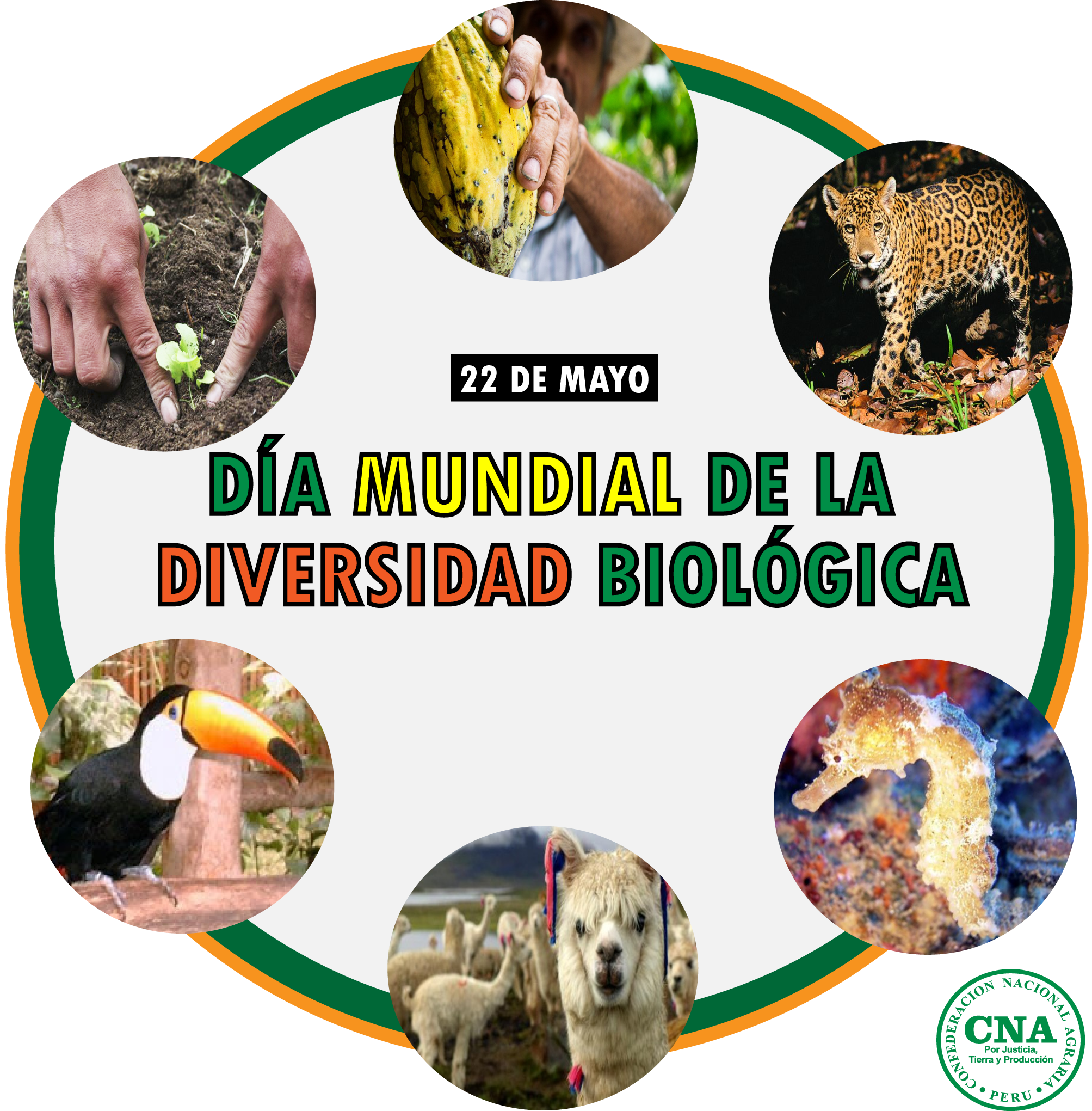 Día Mundial De La Diversidad Biológica Confederación Nacional Agraria